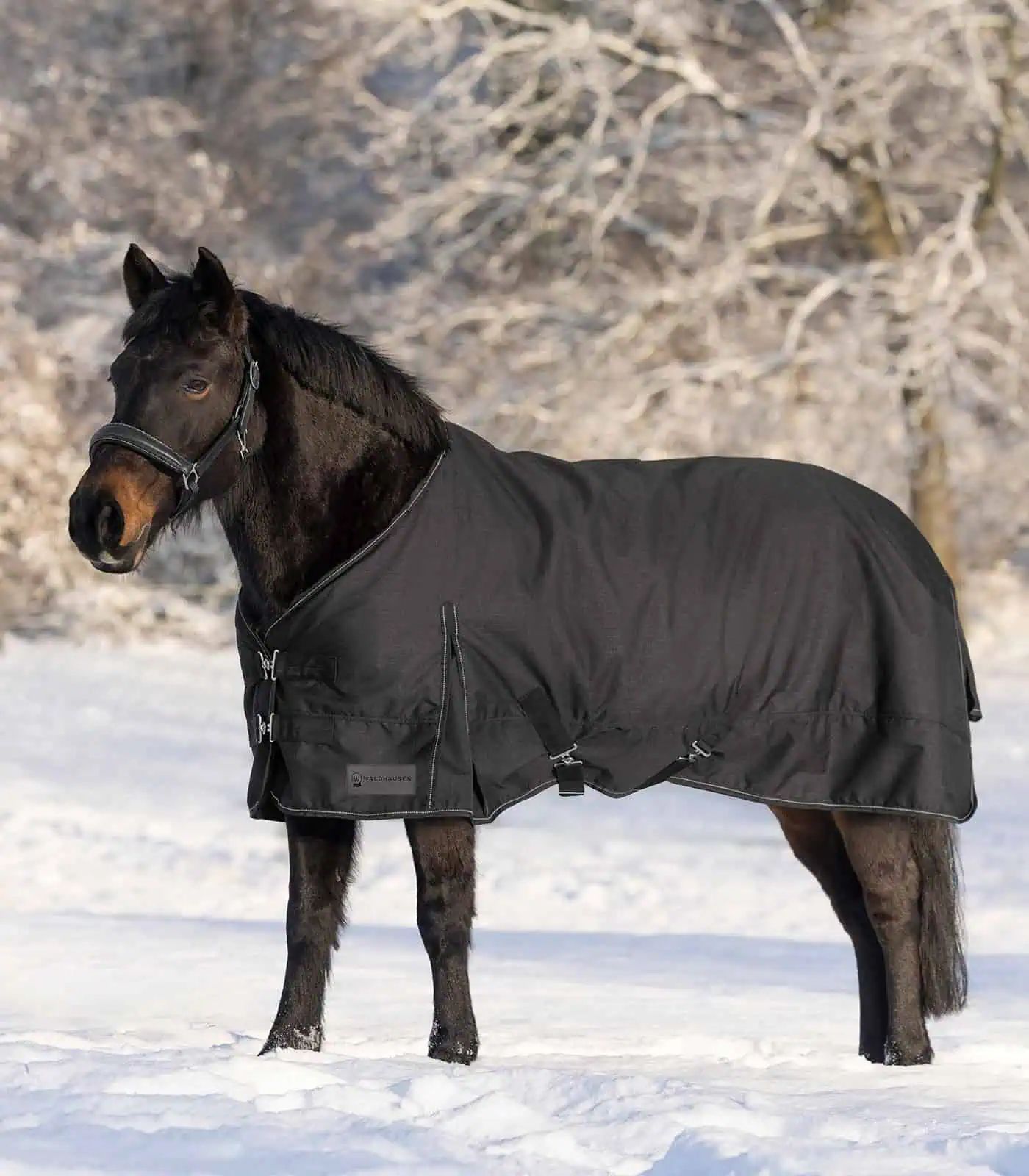 Waldhausen NORDIC Outdoordecke, 50 g Füllung, wasserdicht, schwarz 115 cm