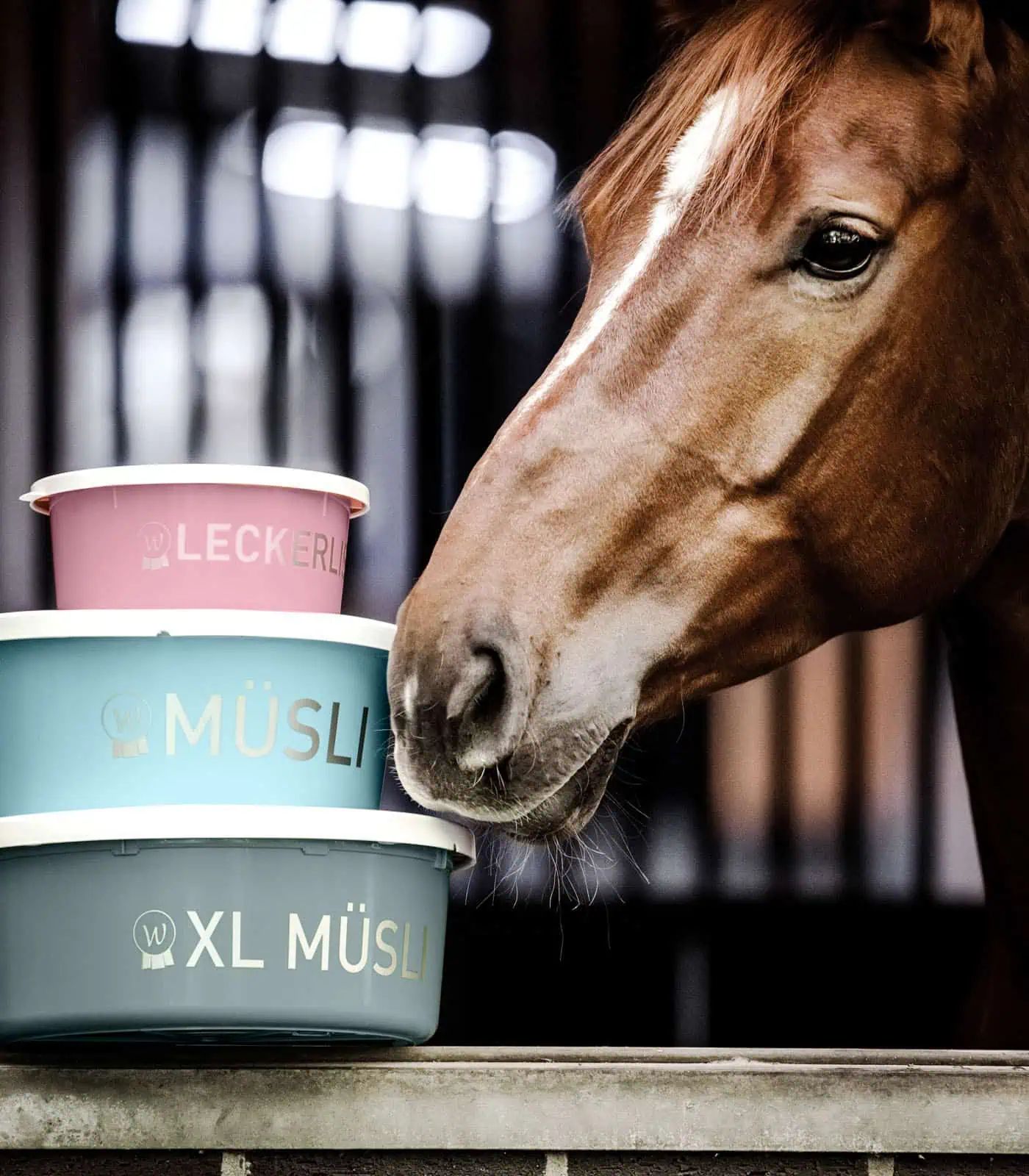 Waldhausen Gamelle XL avec couvercle, bol à muesli 8 L, turquoise