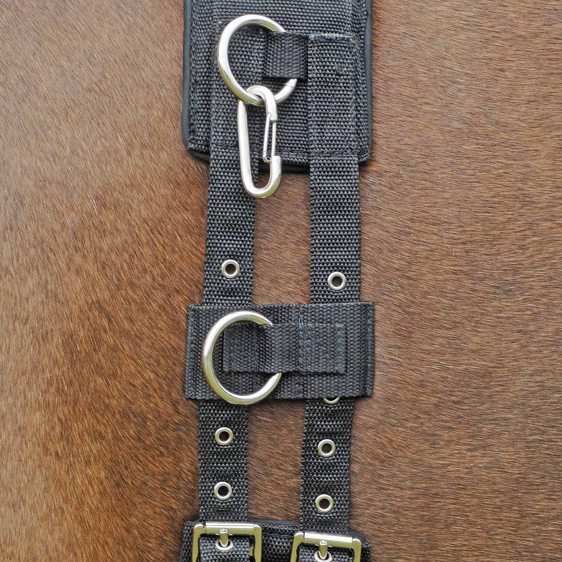 BUSSE Side Rein Ring VARIABEL, Height-Adjustable Training Aid Ring