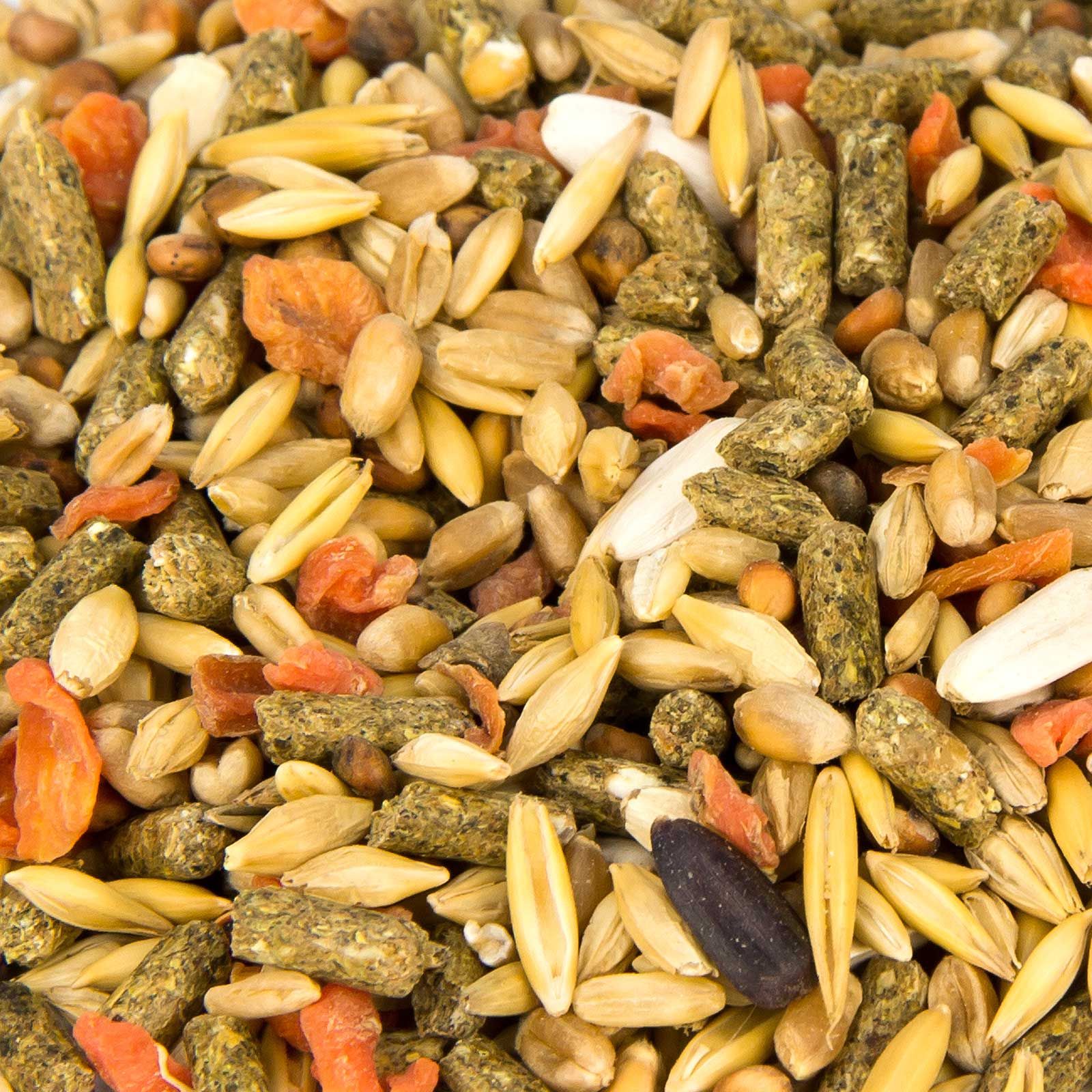 Leimüller Alimentation des cochons d'Inde, détail