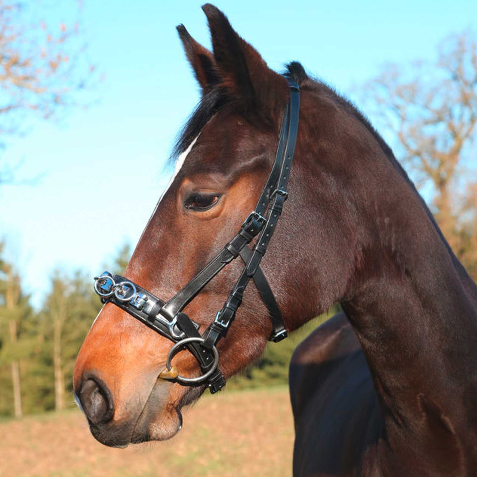 Covalliero Caveçon en Cuir Exclusif avec Sangle Amovible, Full