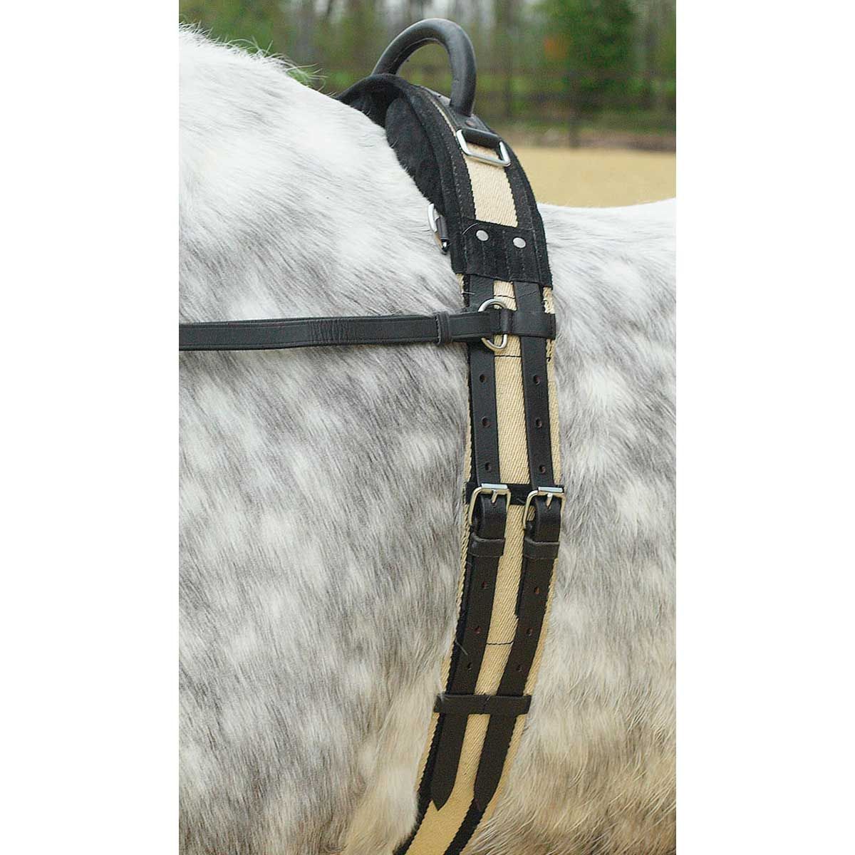 BUSSE Ceinture de longe avec poignée, rembourrage garrot, Pony