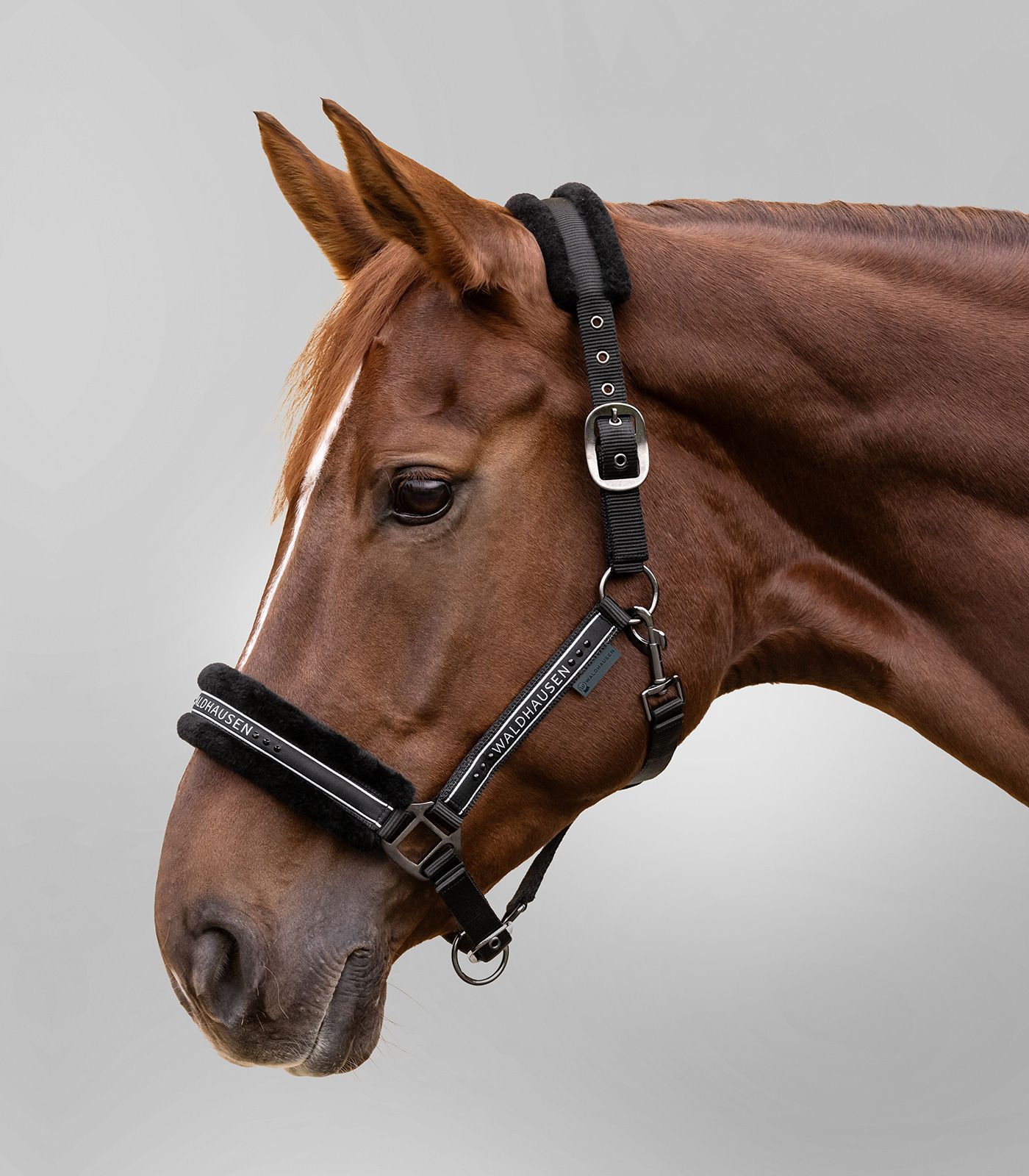Waldhausen Halfter Elegant, schwarz