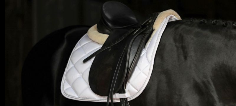 Tapis de selle Covalliero