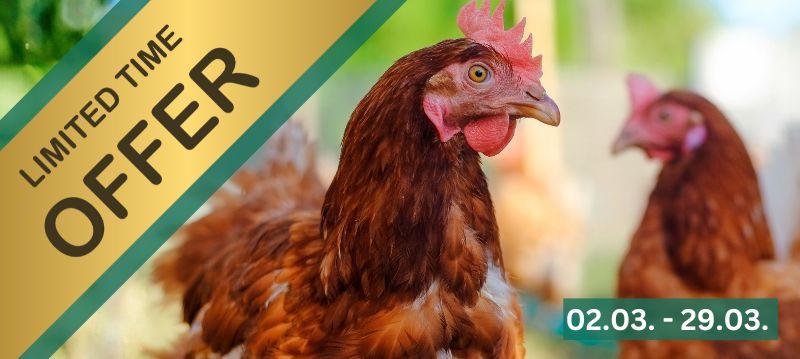 Bunăstarea găinilor – Săptămâni promoționale