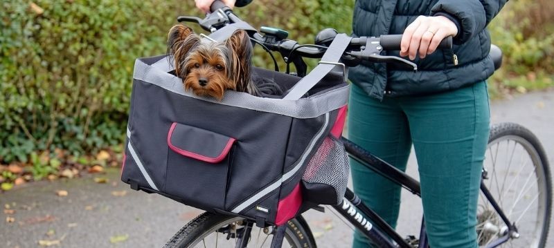 Accessori bici per trasporto cani