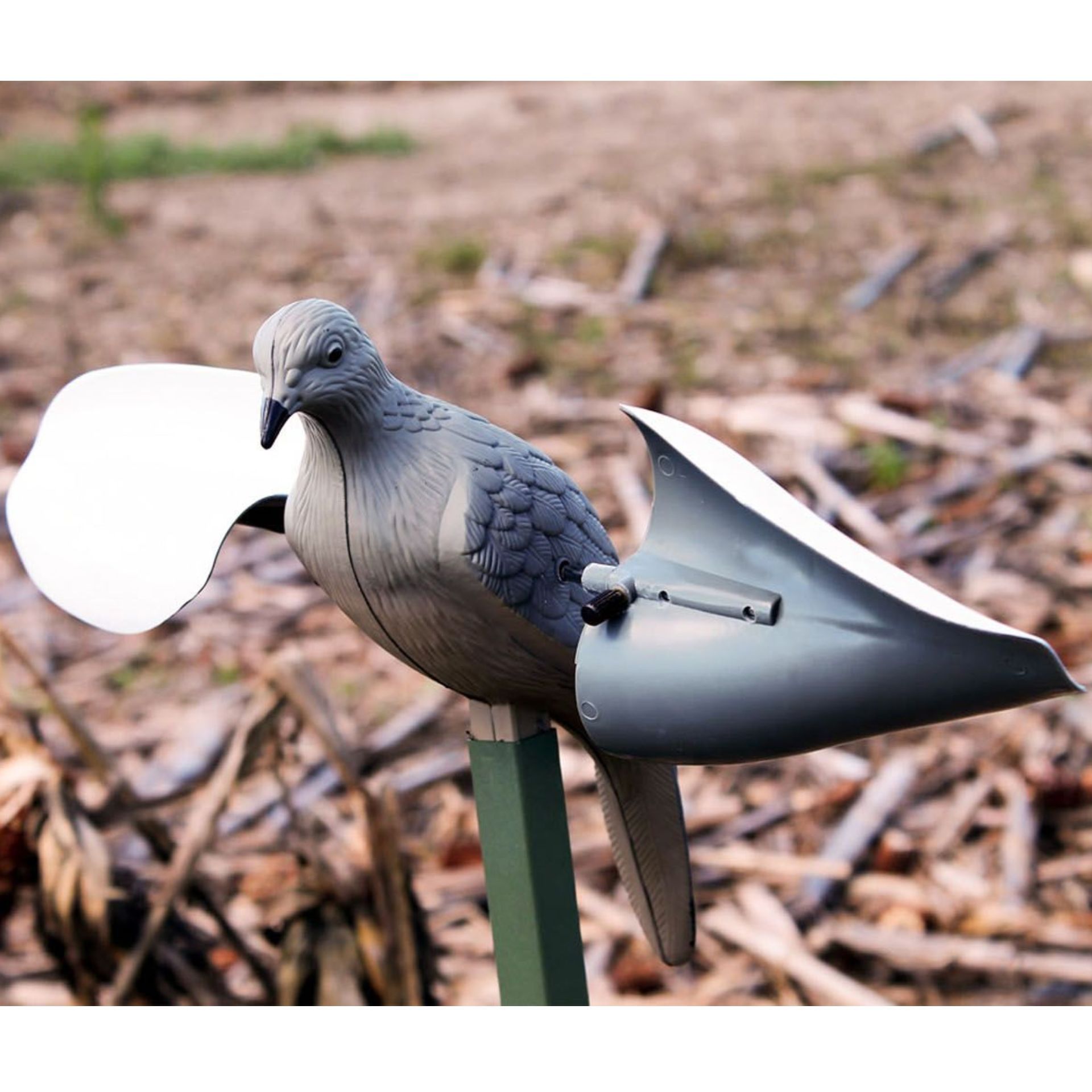 Mojo Wind Dove Esca piccione con ali rotanti senza motore, in uso
