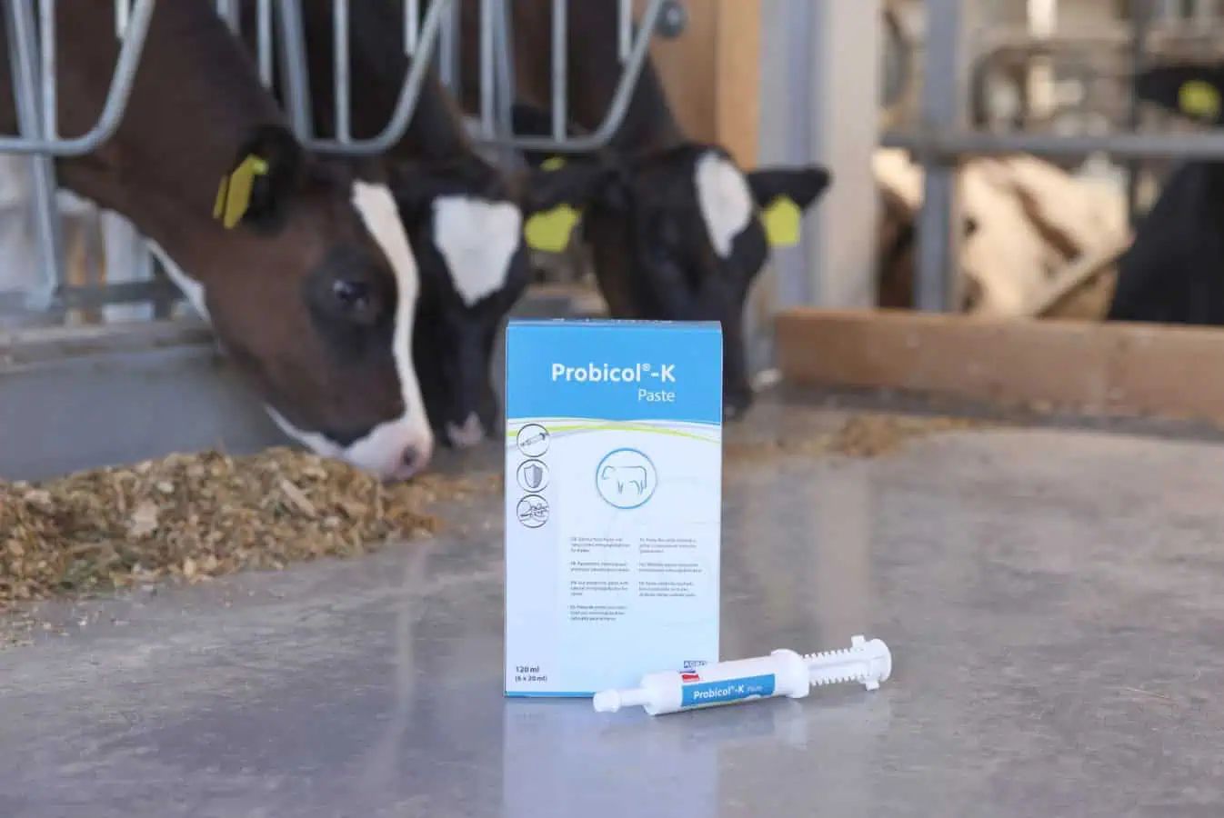 Pâte Probicol-K protection intestinale pour veaux 6 x 20 ml, en utilisation, à l'écurie