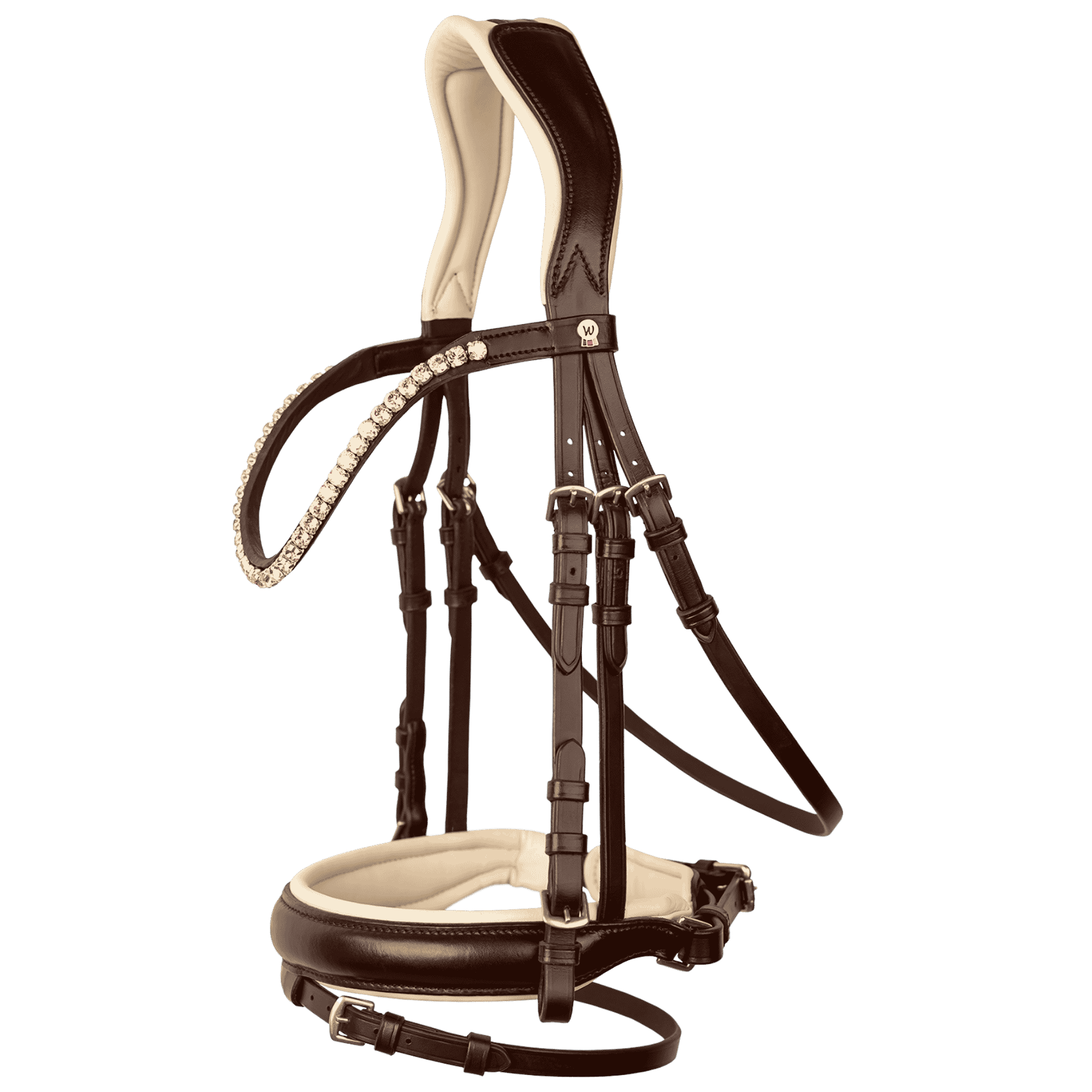 horse, bridle, headstall, reins, bitless?