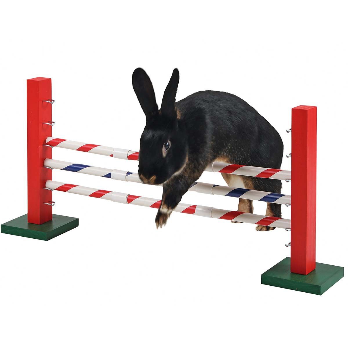 Kerbl Agility Steilsprung für Kaninchen und Nager, 70 x 5 x 35 cm, im Einsatz