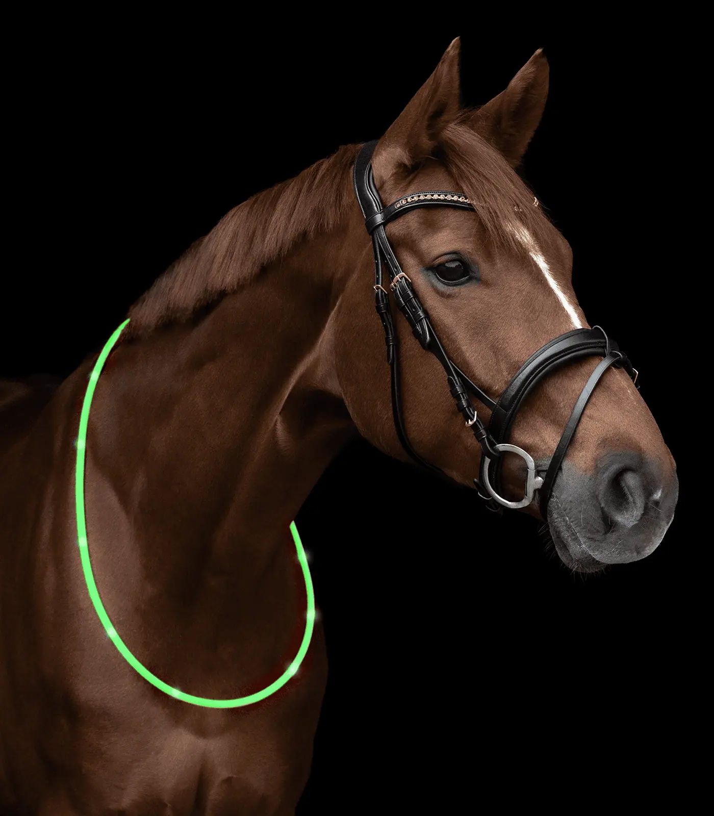 Collier d'encolure LED Waldhausen, 150 cm ajustable, vert