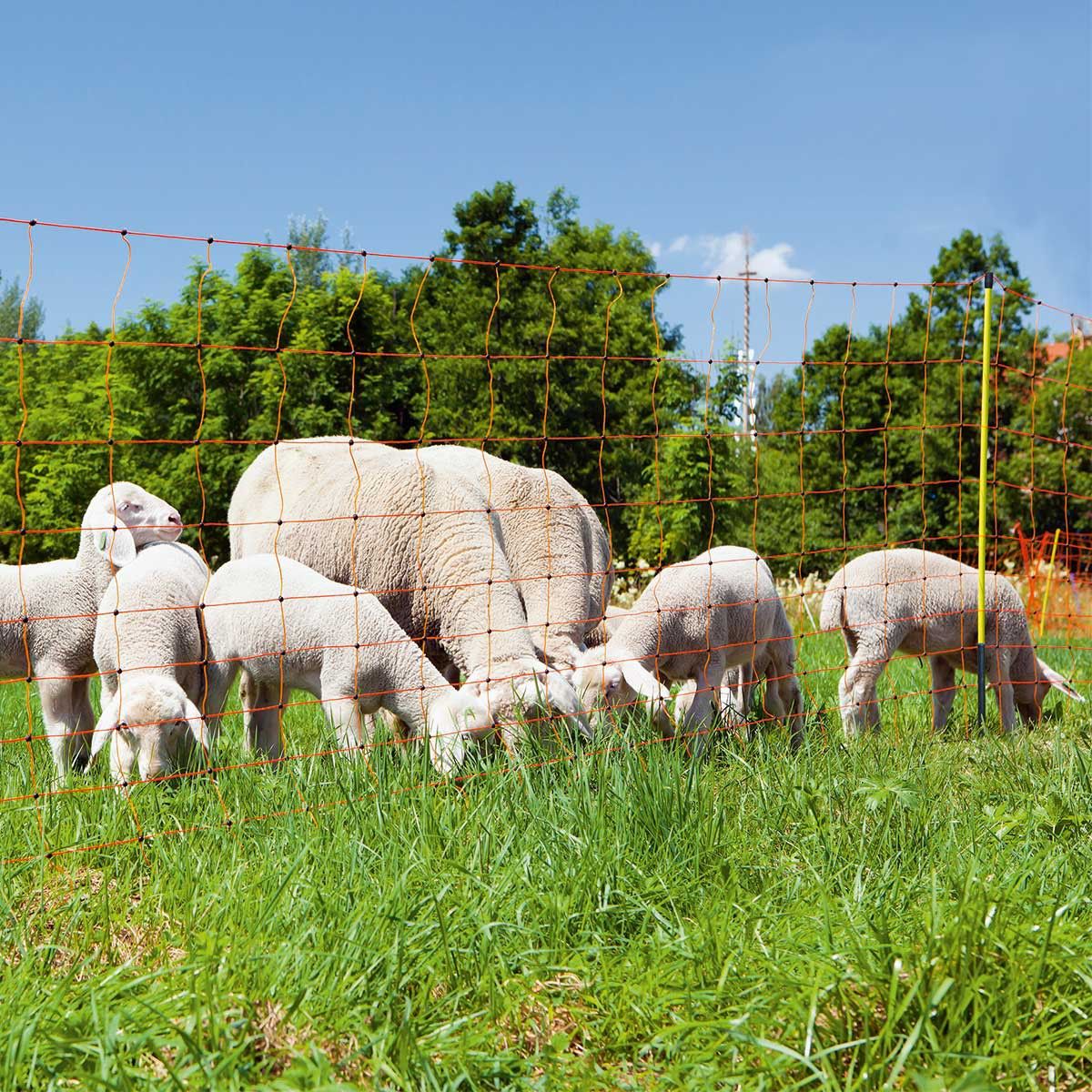 Ako Sheep Net OviNet Profi, single tip with step, orange-yellow 50 m x 90 cm