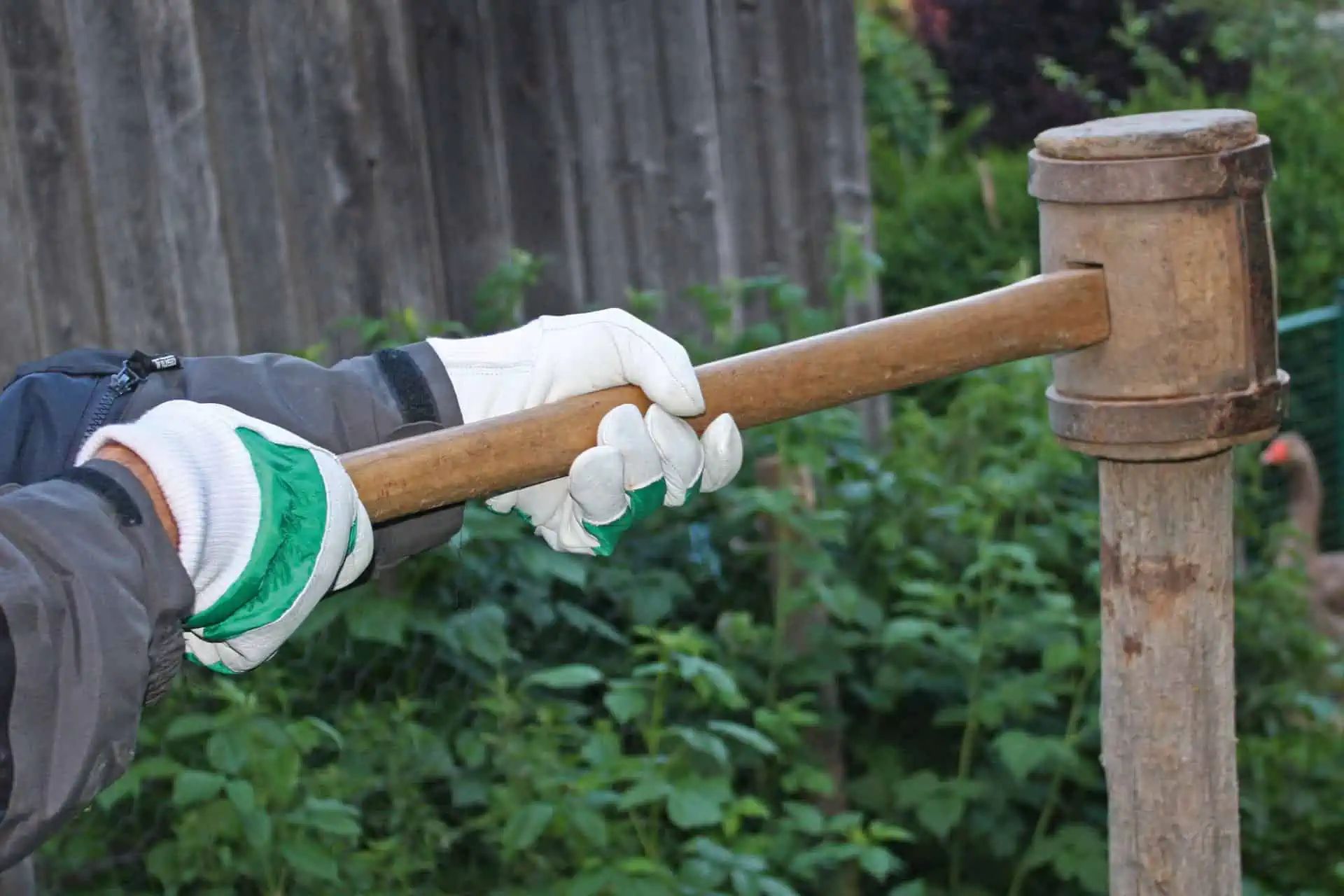 Kerbl Winterhandschuh Wood II Ziegenleder mit Strickbund, im Einsatz, in der Hand