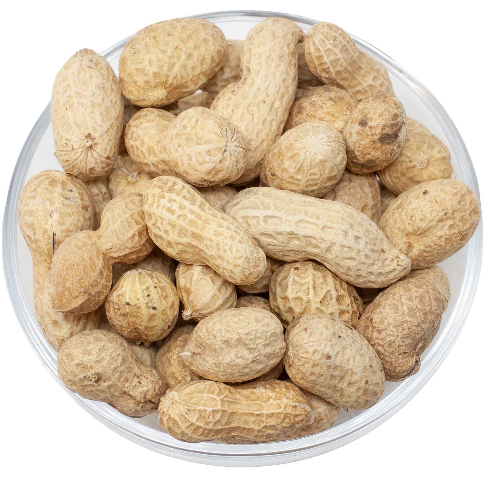 Leimüller Cacahuètes en coque 10 kg