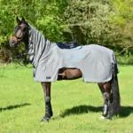 Pferd mit grauer Ausreitdecke und Fliegenmaske steht auf einer Wiese