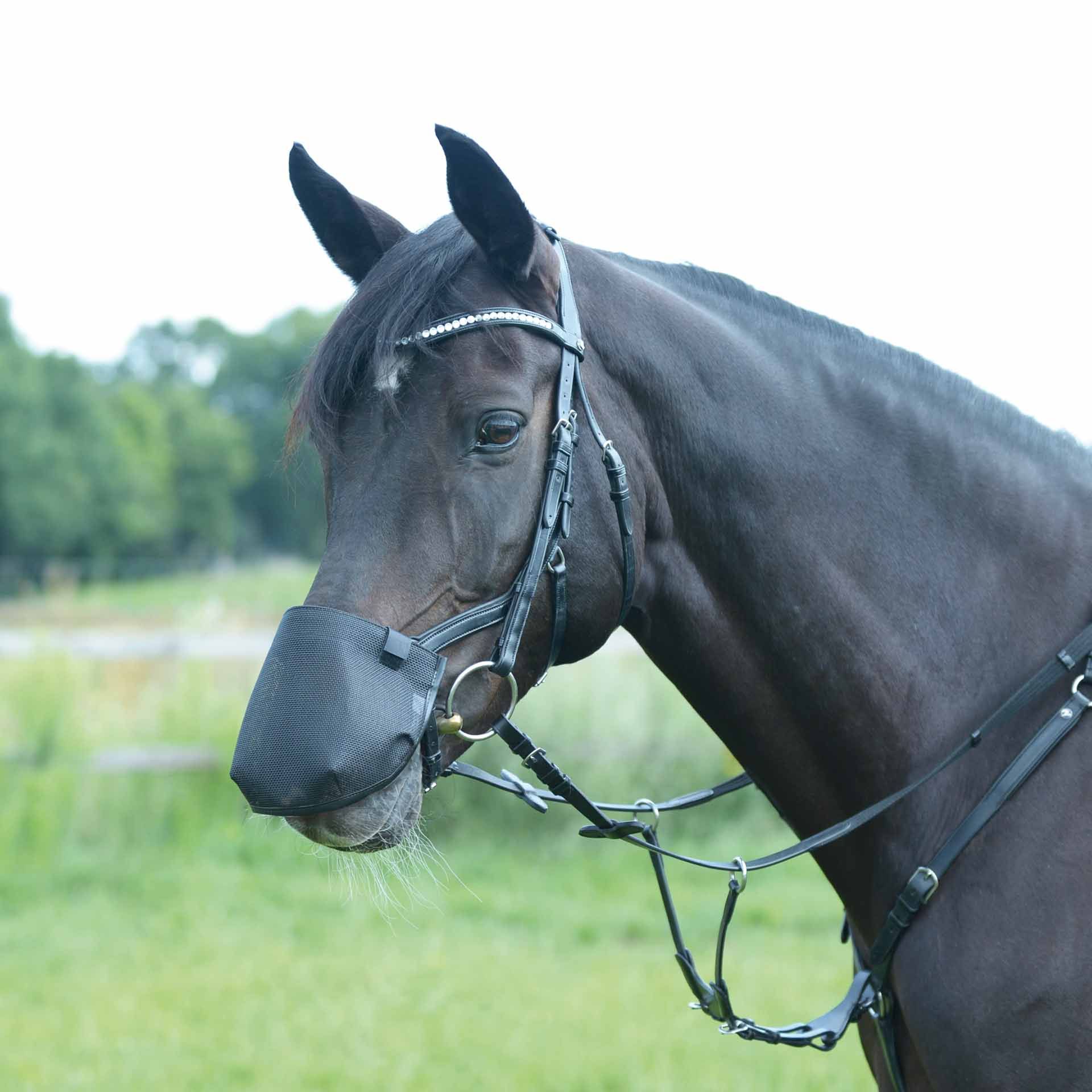 Protège-naseaux BUSSE FLY PROFESSIONAL ANATOMIC, protection pour chevaux, L (VB/WB)