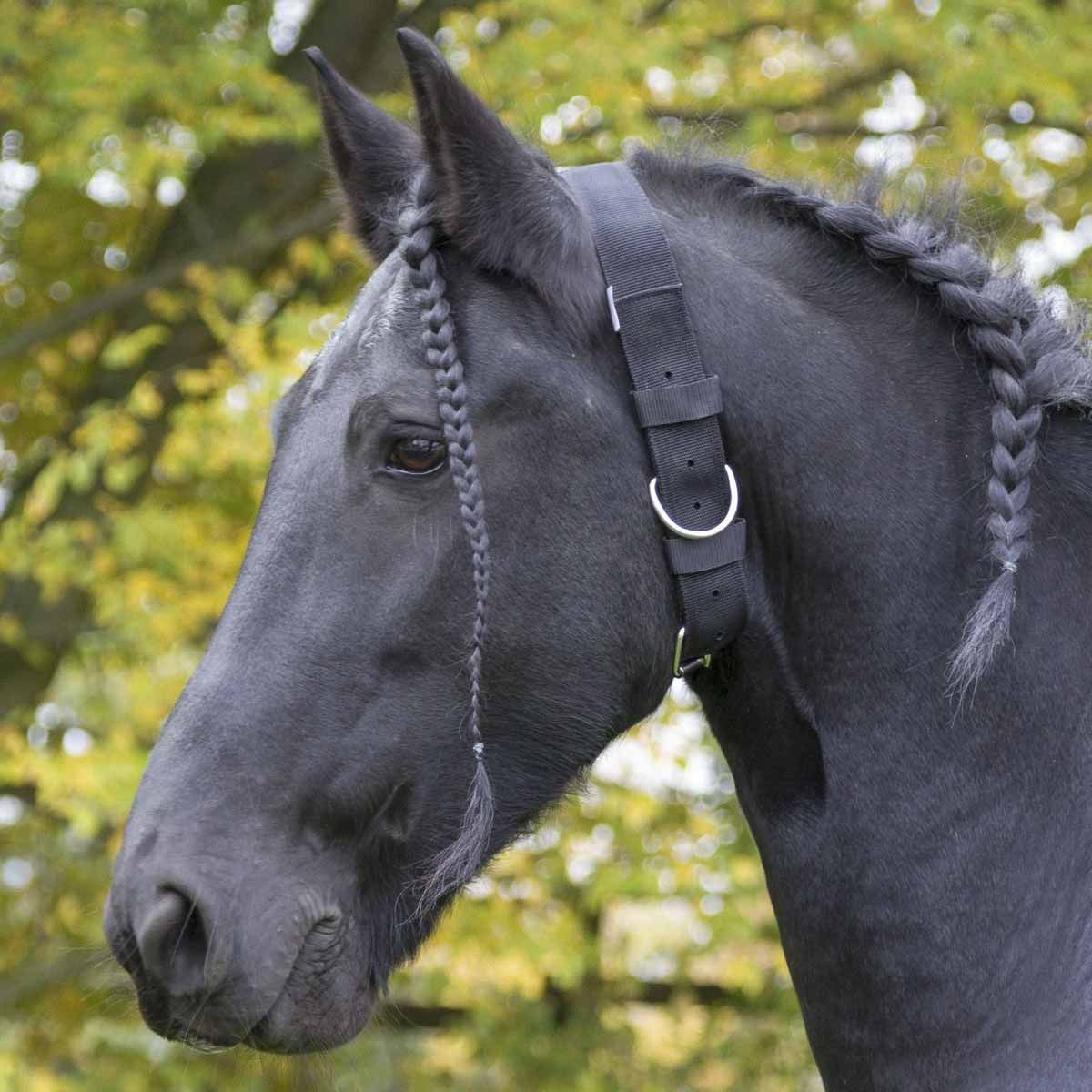 Kerbl Halsband för hästar, 5 cm bred, polyamid med delar i rostfritt stål