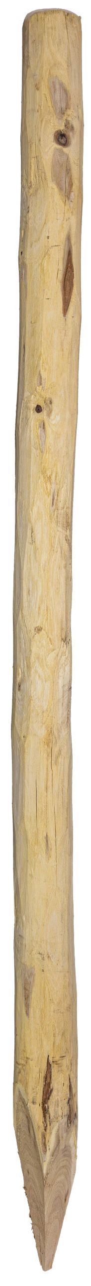 Holzstamm, Treibholz, Ast, verwittertes Holz, Naturholz