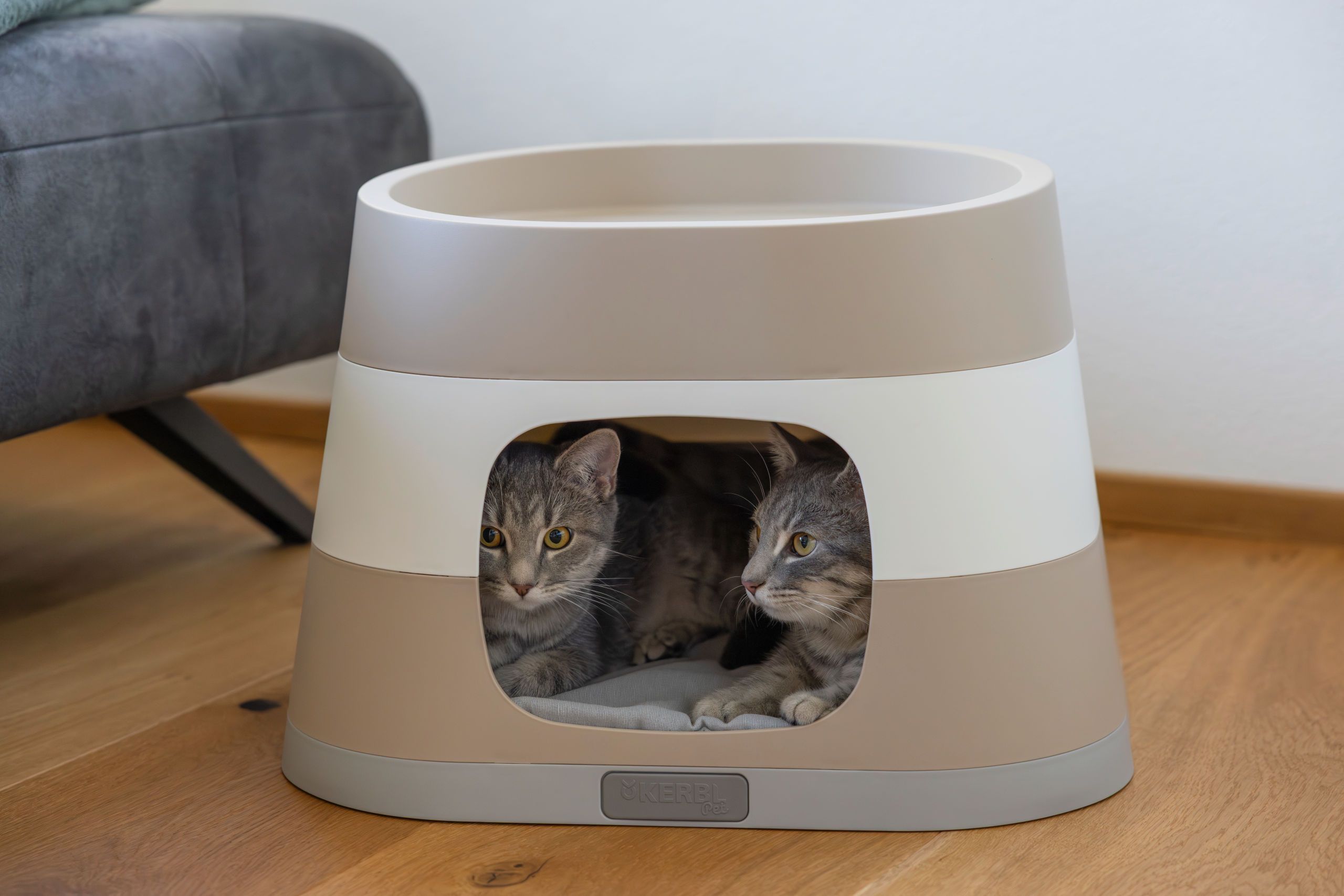 Katze, Haustier Möbel, Katzenhaus, Haustier Unterschlupf, robuste Basis