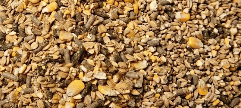 Muesli pour chevaux