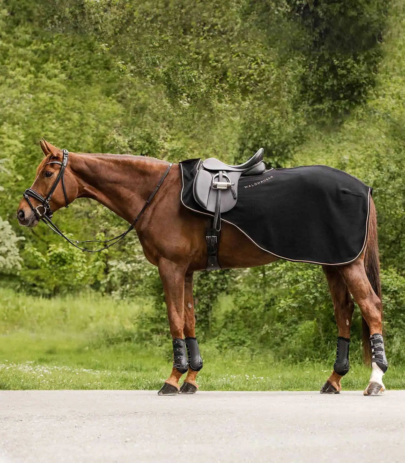 Couvre-reins Waldhausen Modern Rosé avec échancrure pour selle, noir/rose doré FULL