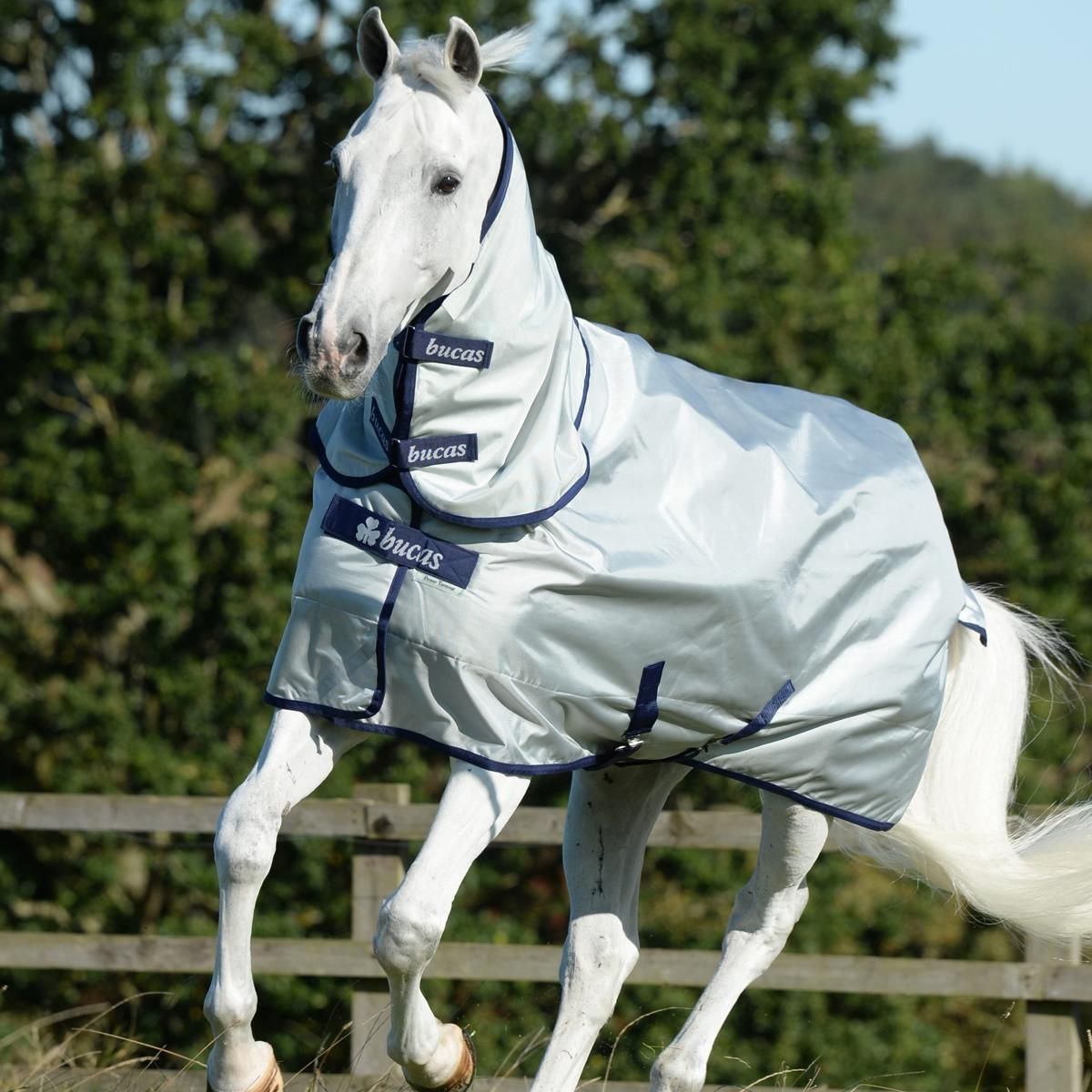 Couverture cheval Bucas Power Turnout Light 125