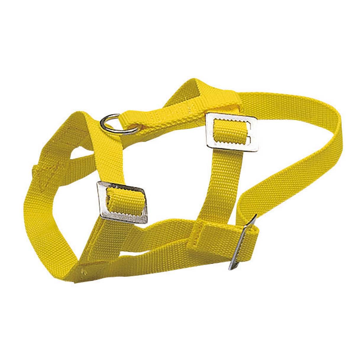 Collier de tête pour moutons et chèvres jaune