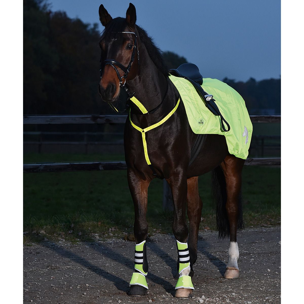 BUSSE Reflektor-Gamaschen SHINE, neongelb, paarweise