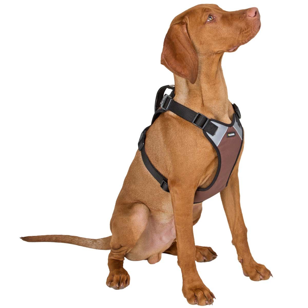 Harnais pour chien Kerbl PULSIVE, réglable, marron, M
