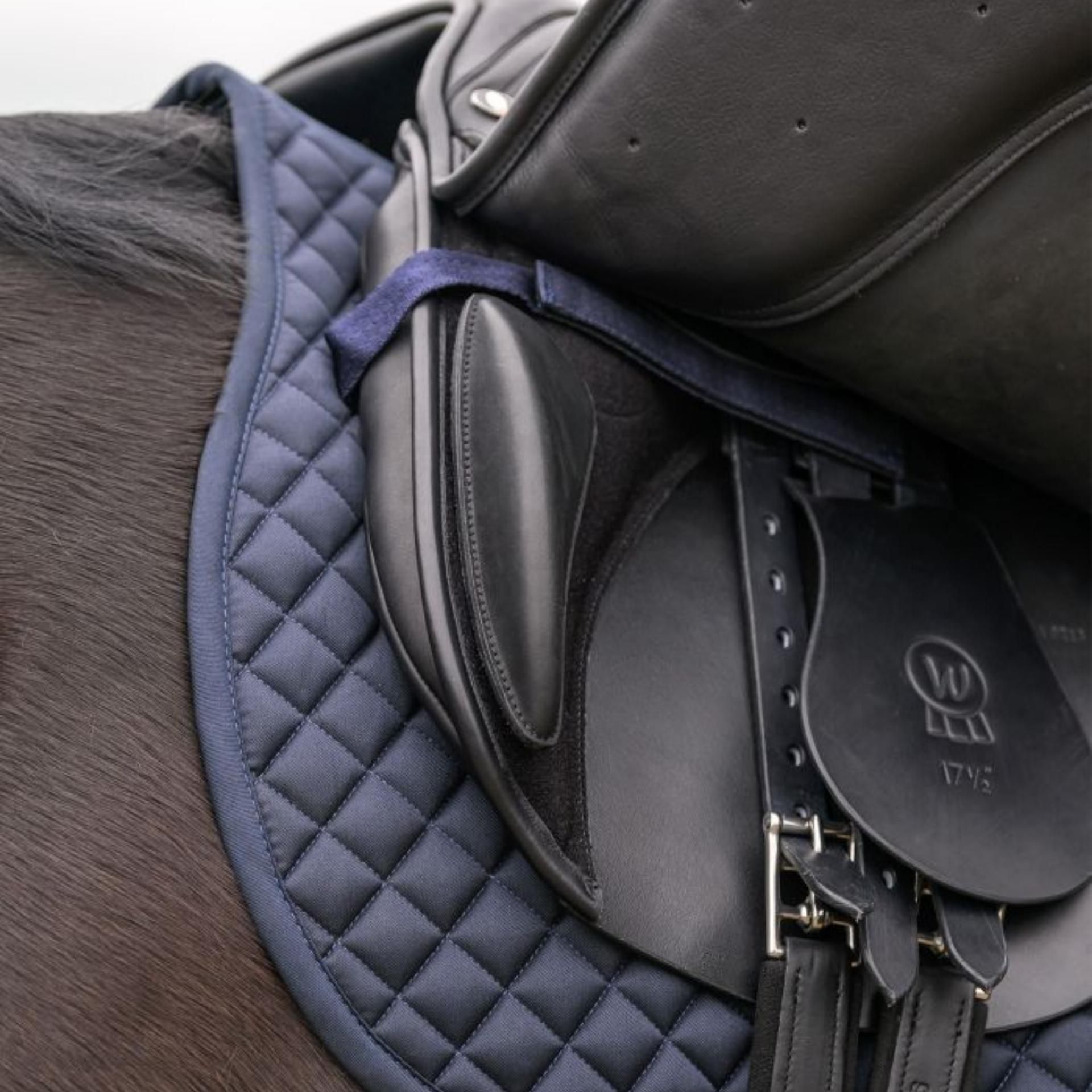 horse saddle, stirrup, saddle pad, black leather, girth strap