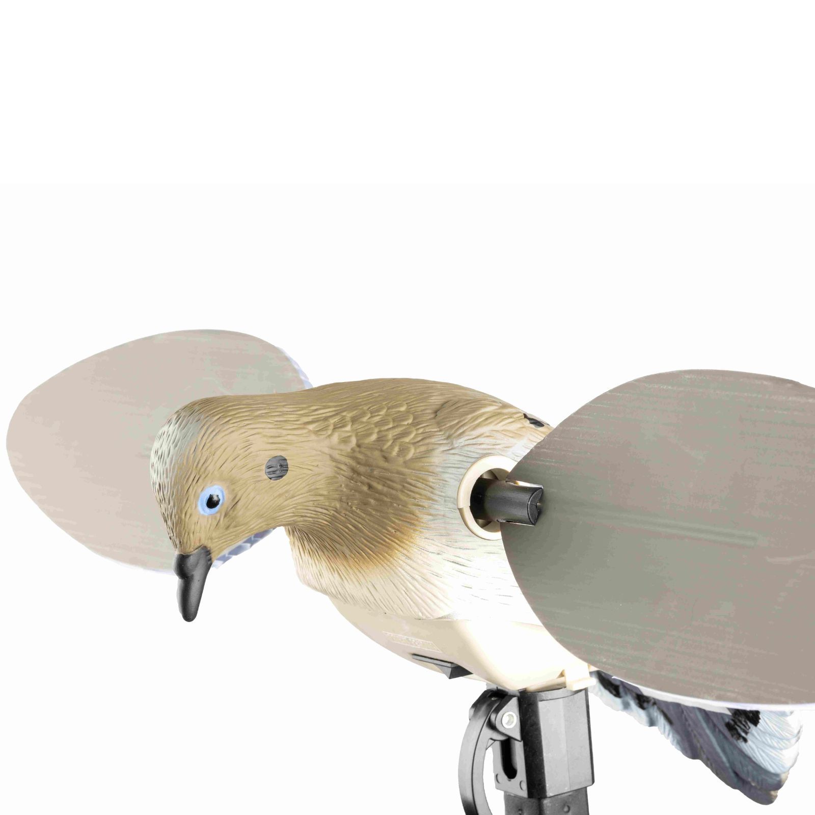 Mojo ES Dove Taubenattrappe, Detailansicht