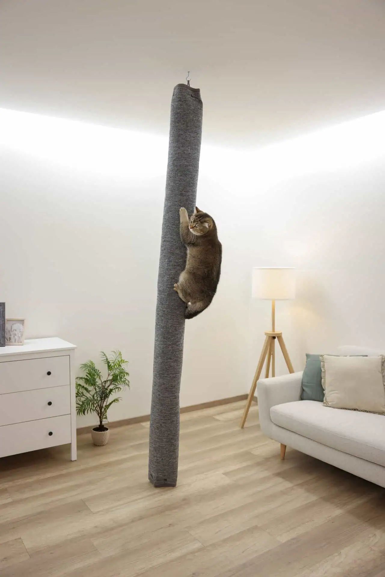 Kerbl Klättersäck Carpet för katter, grå, 240 cm, med klösyta, i användning