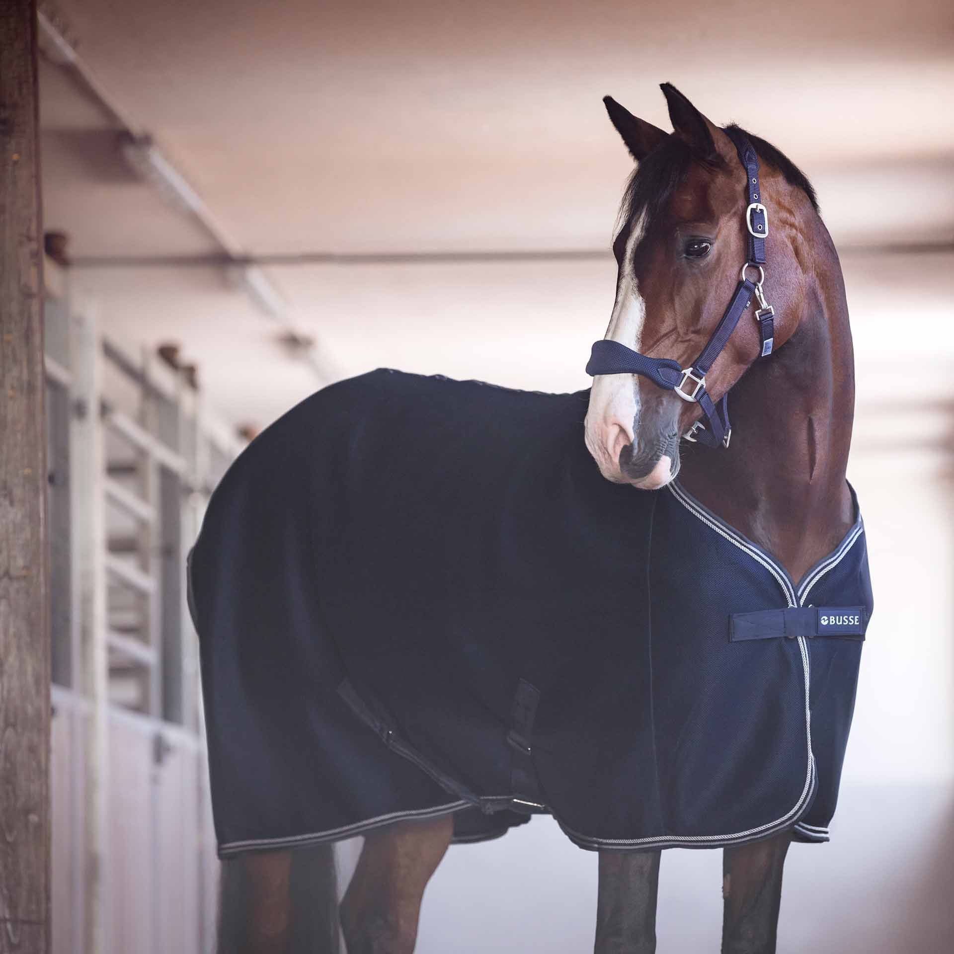 BUSSE Cooler 3D AIR, Quick-Drying Sweat Rug for Horses, in use, in the stable