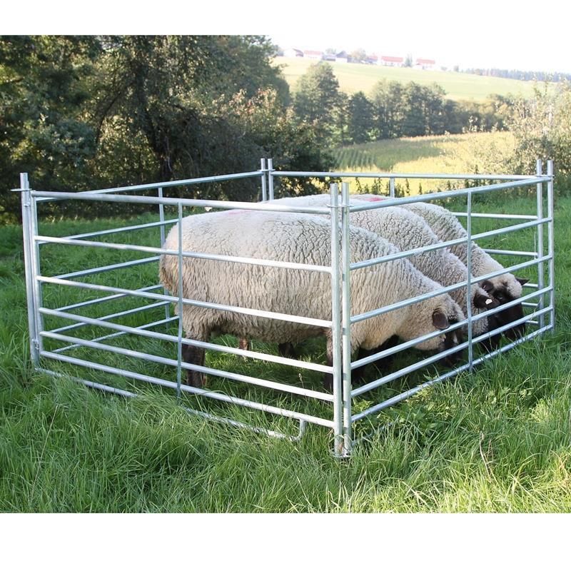 4x Barriera zincata per pascolo ad inserimento 1,83 x 0,92 m