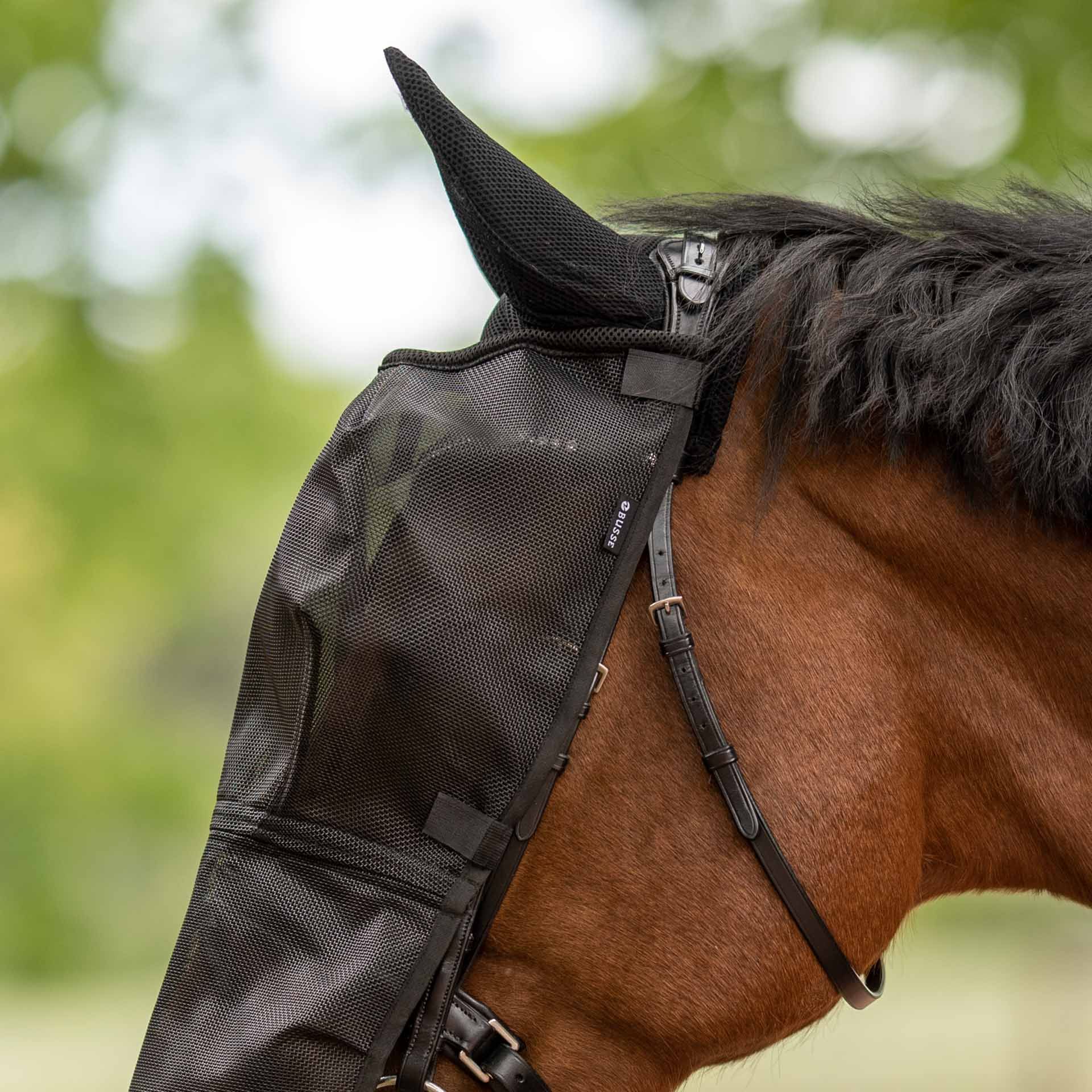 BUSSE Fly Mask RIDING PLUS, Eye & Nostril Protection for Riding, in use