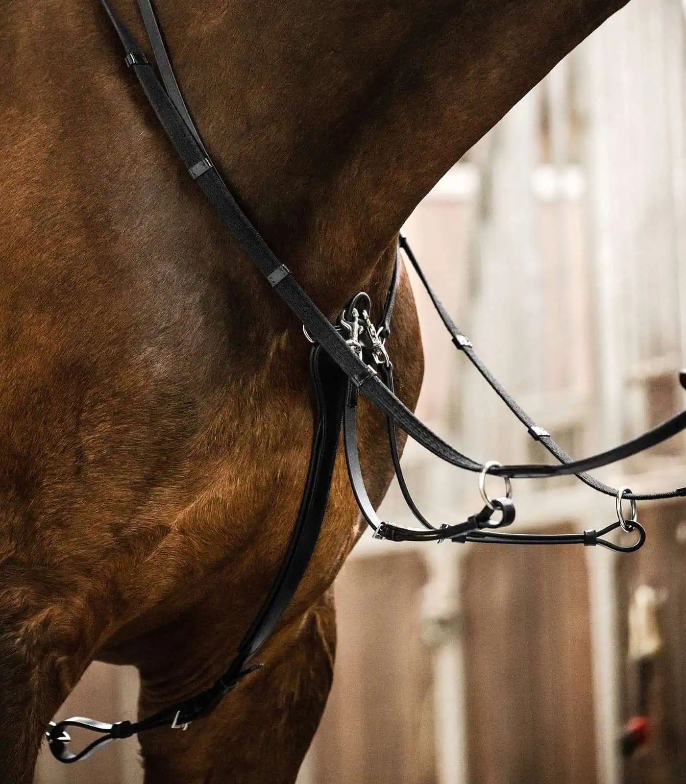 Waldhausen X-Line Martingale Professional en cuir avec rembourrage au garrot, Noir, FULL