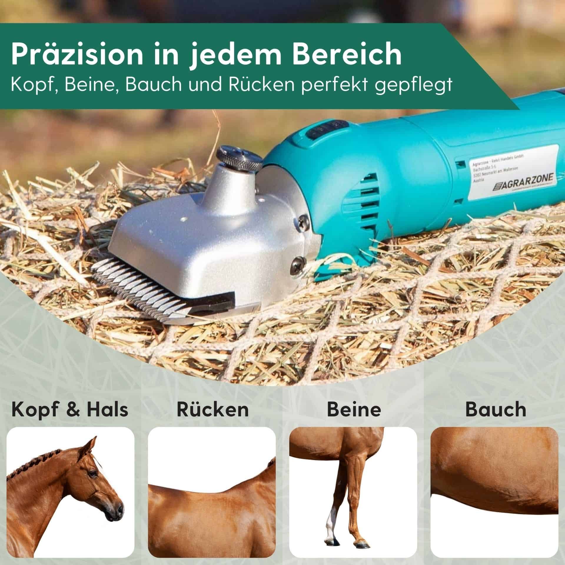 Tondeuse pour chevaux Agrarzone PowerCut, sans fil à 2 batteries, infographie