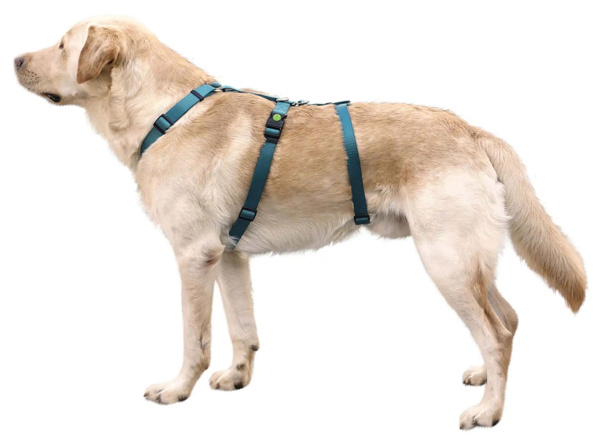 Kerbl Pettorina antipanico Miami per cani, antifuga e regolabile, vista laterale