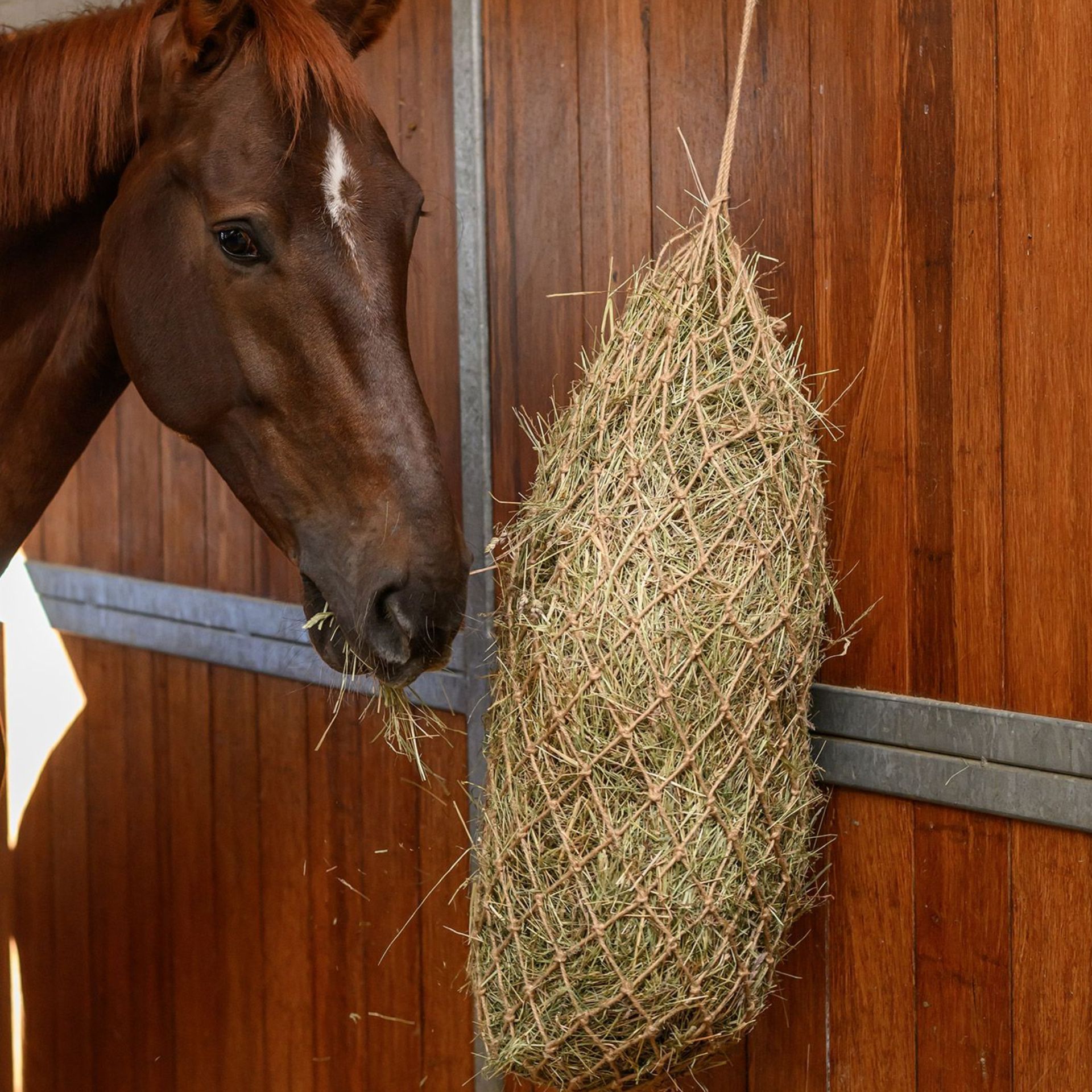 horse, stable, haynet, hay, brown