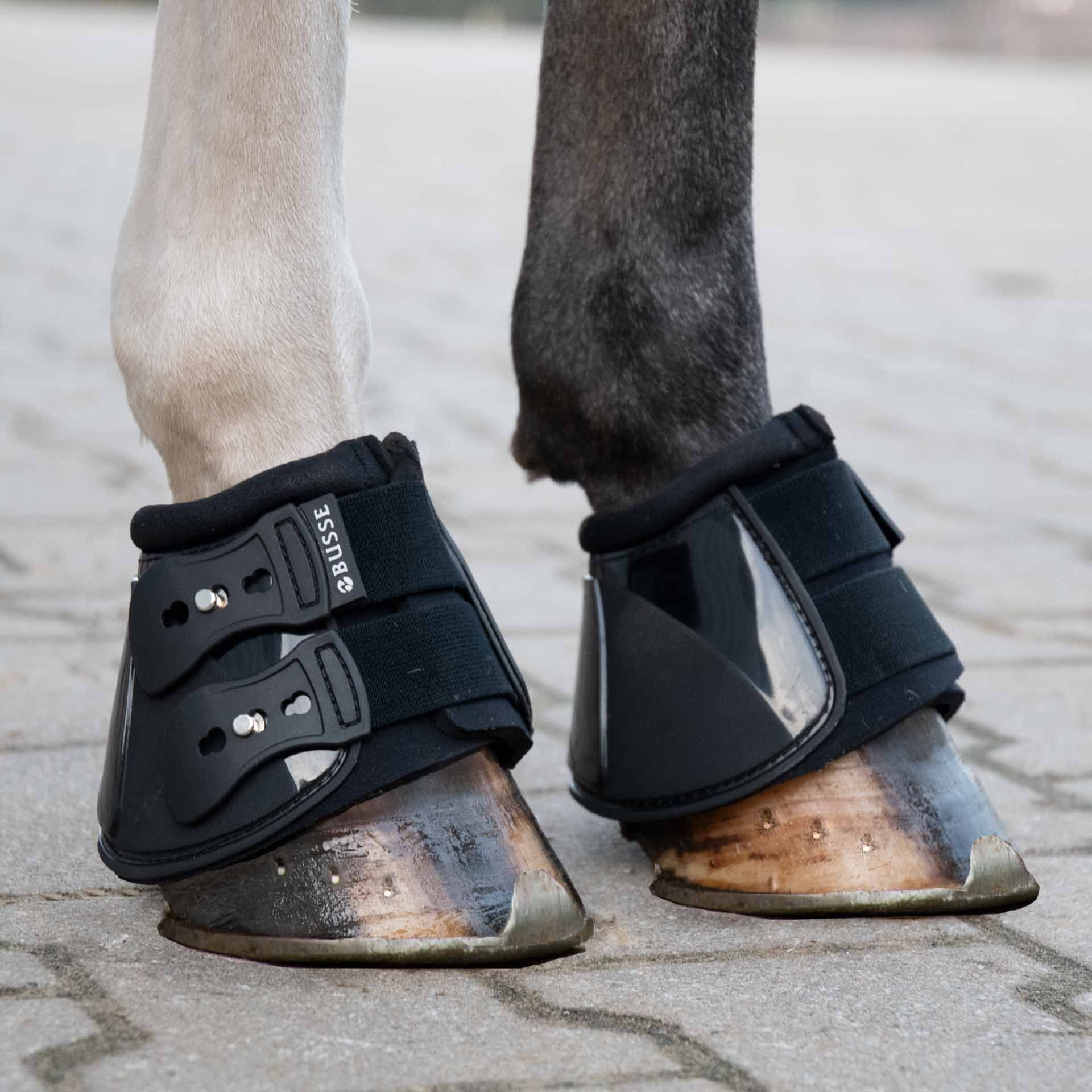 BUSSE Hufglocken PRO-STUD, anatomische Passform mit Drehstopp, im Einsatz