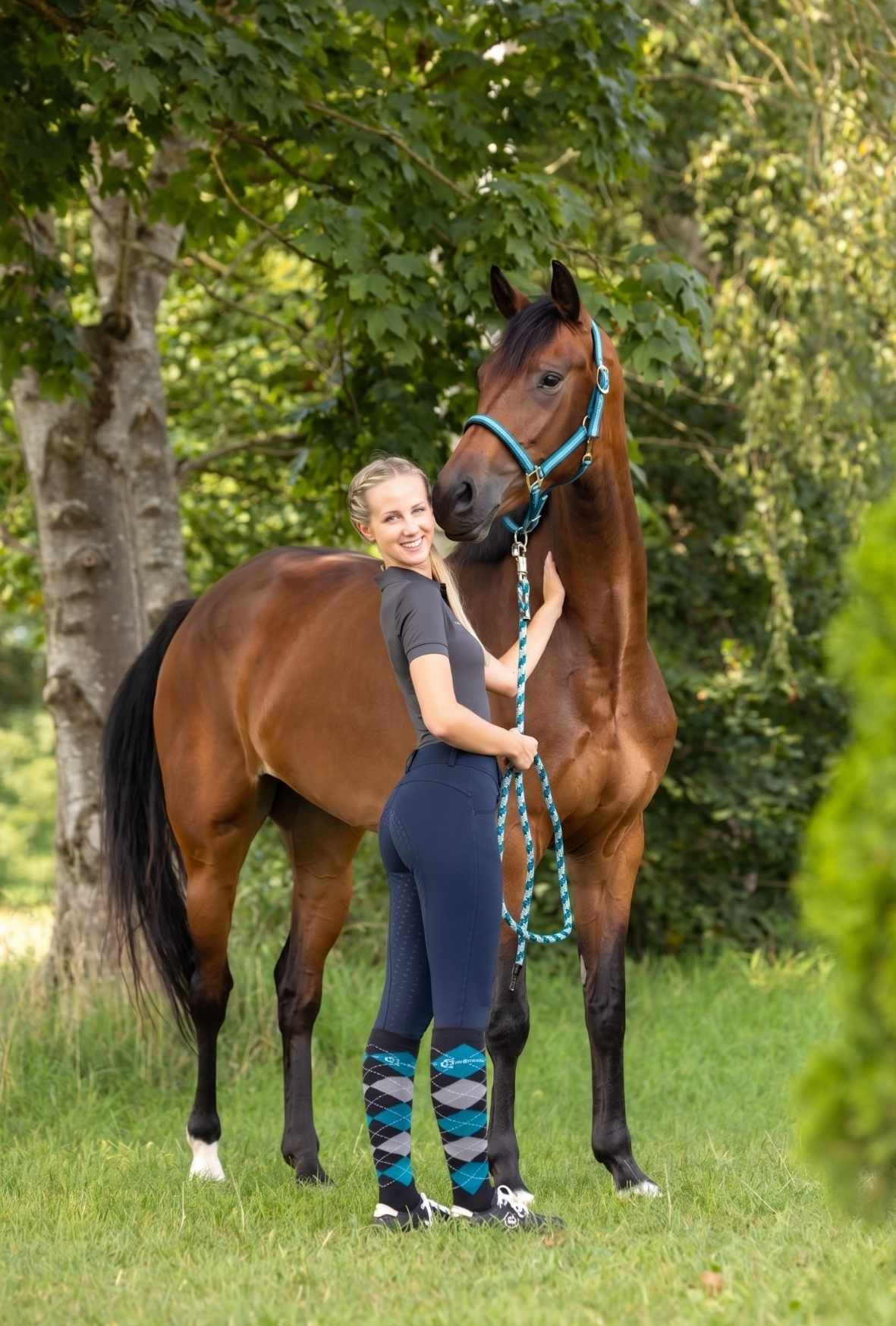 horse, equestrian, riding, halter, equipment