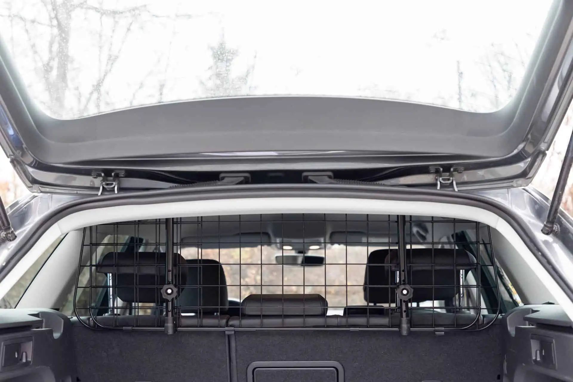 Kerbl grilaj de protecție auto pentru câini, reglabil 96-145 x 30 cm, în utilizare