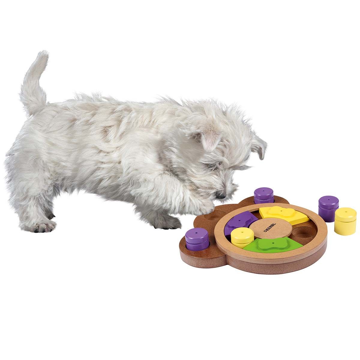 Hund tänker leksak PAW