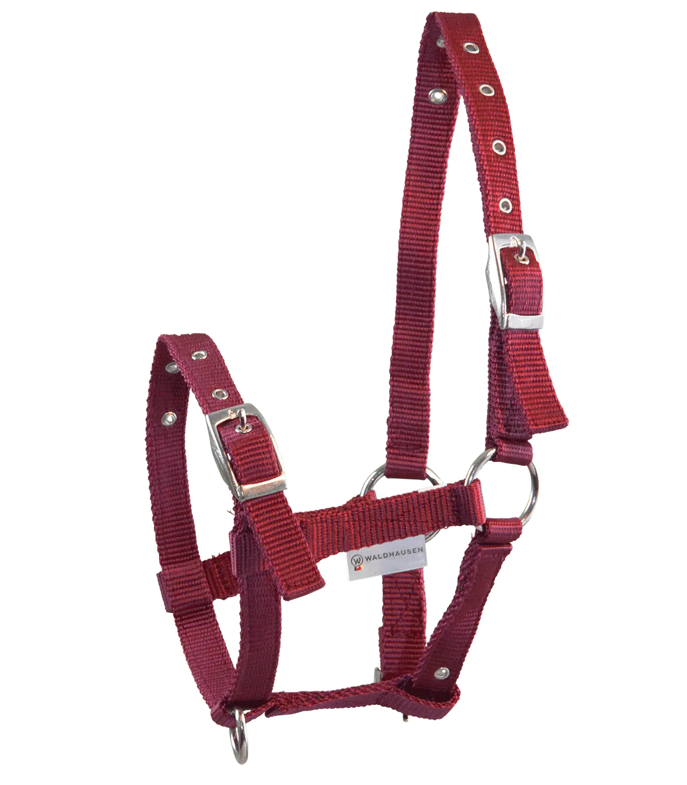 Licol Waldhausen Triple pour Poulain, réglable, boucles nickelées