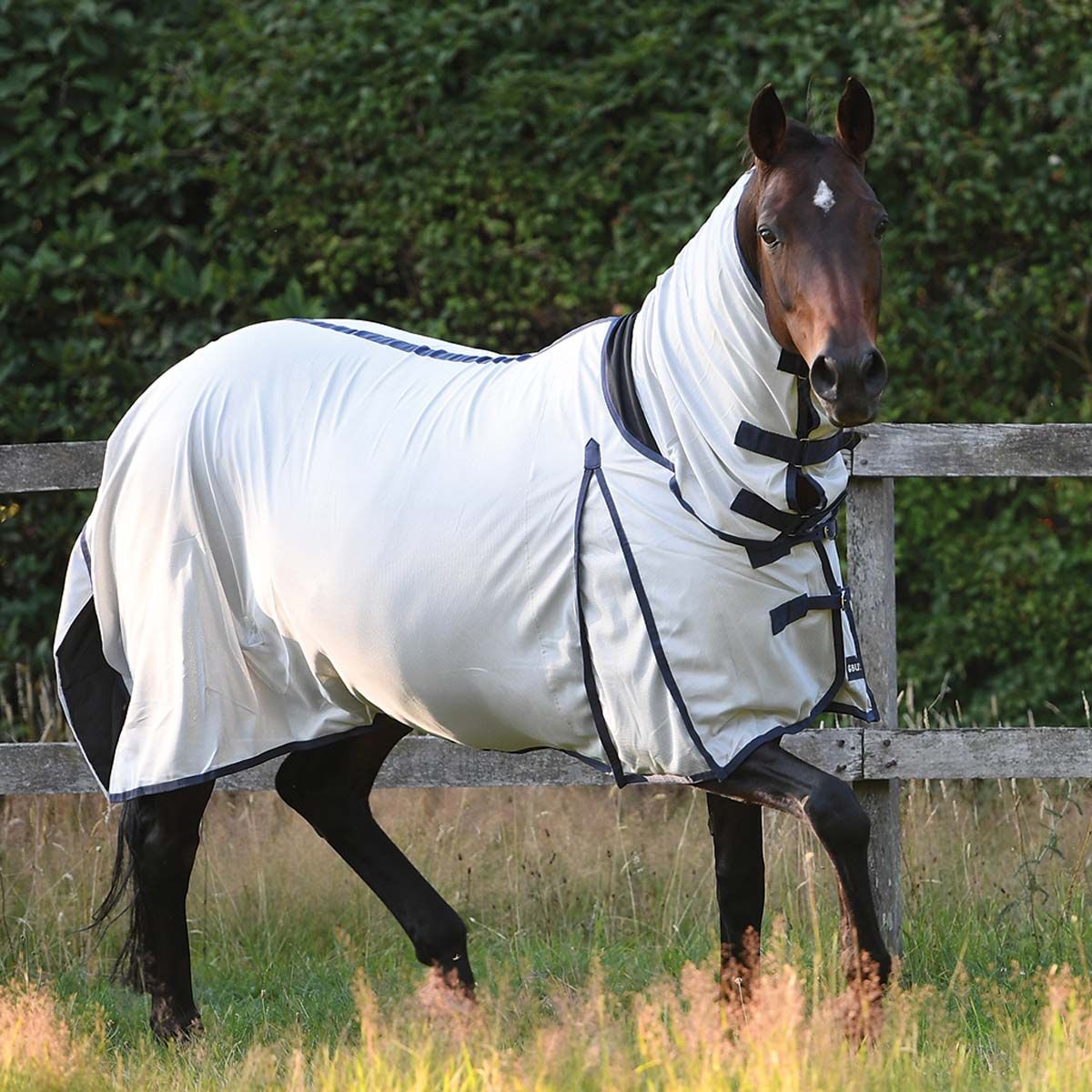 BUSSE Paddock-Fliegendecke COMFORT, silber, navy, atmungsaktiv, im Einsatz, auf der Weide