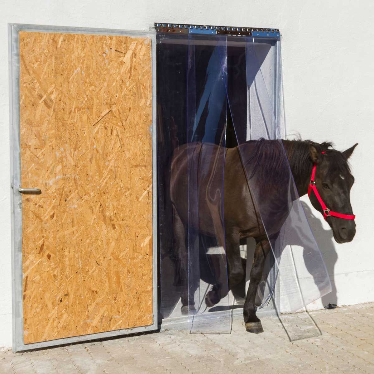 Kerbl Streifenvorhang PVC Stall Set, 225 cm, 300 x 3 mm, im Einsatz