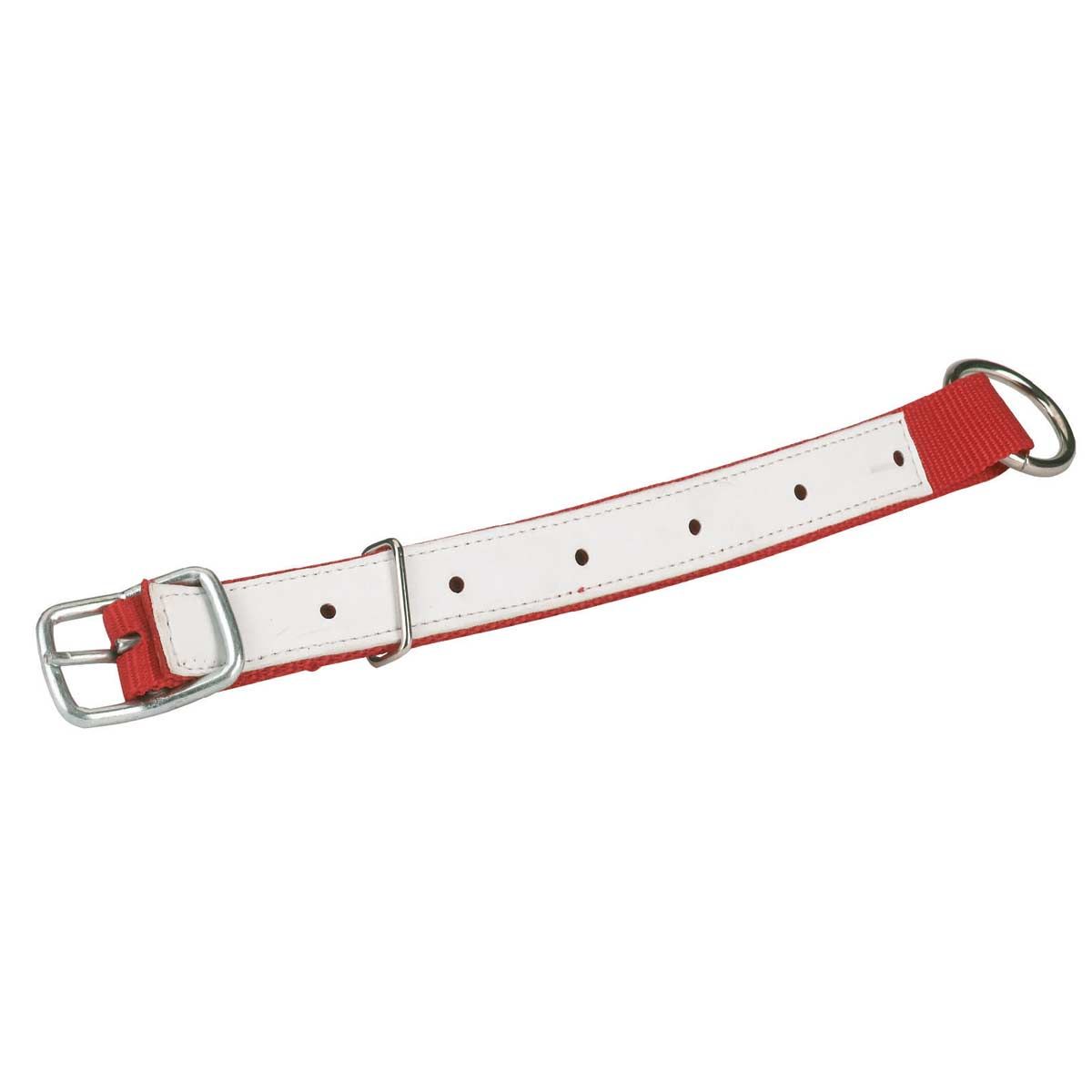 Sangle de cou pour moutons nylon 60 cm renforcée cuir, rouge
