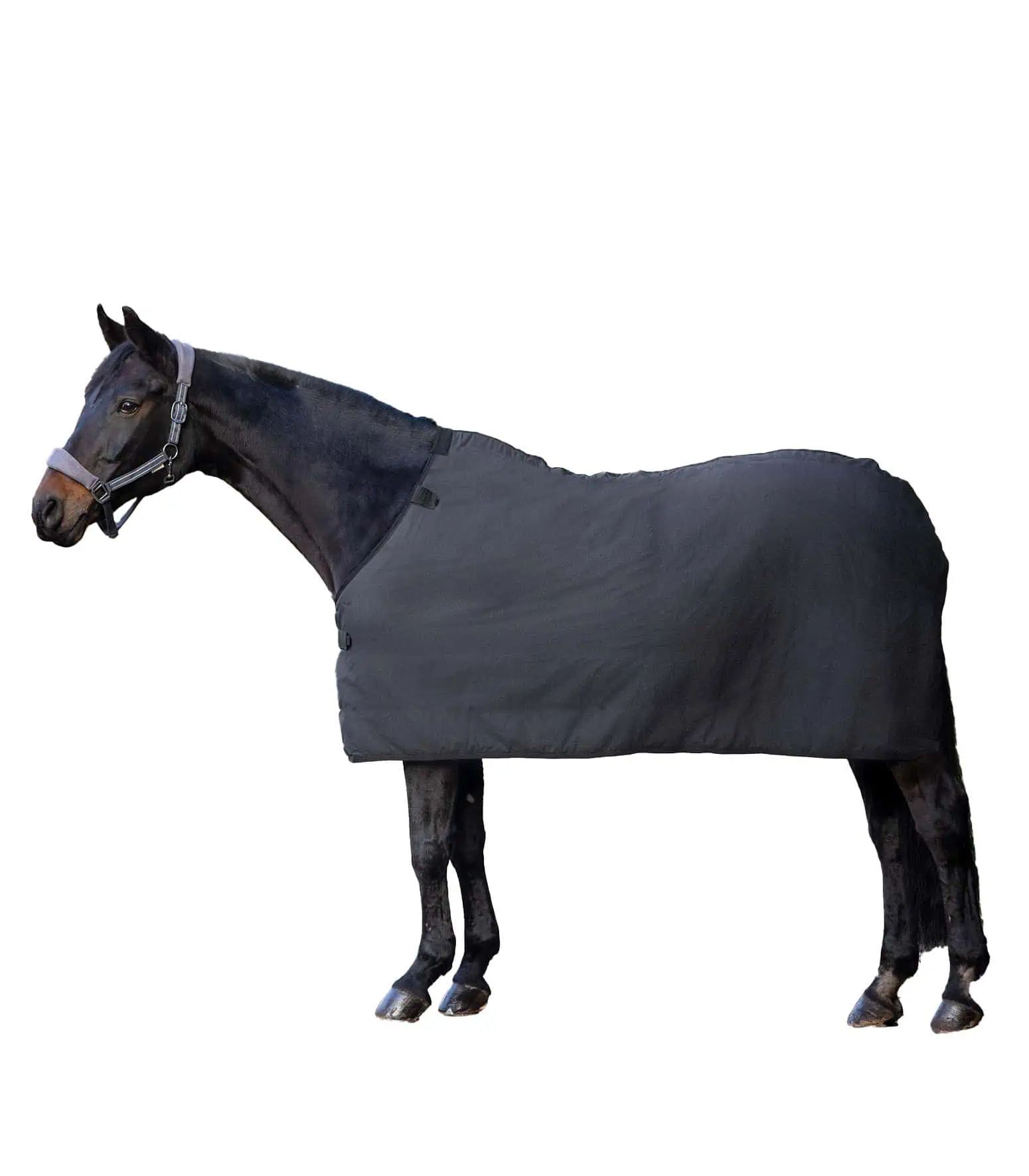 Sous-couverture polaire Waldhausen pour chevaux, noire, respirante, 155 cm