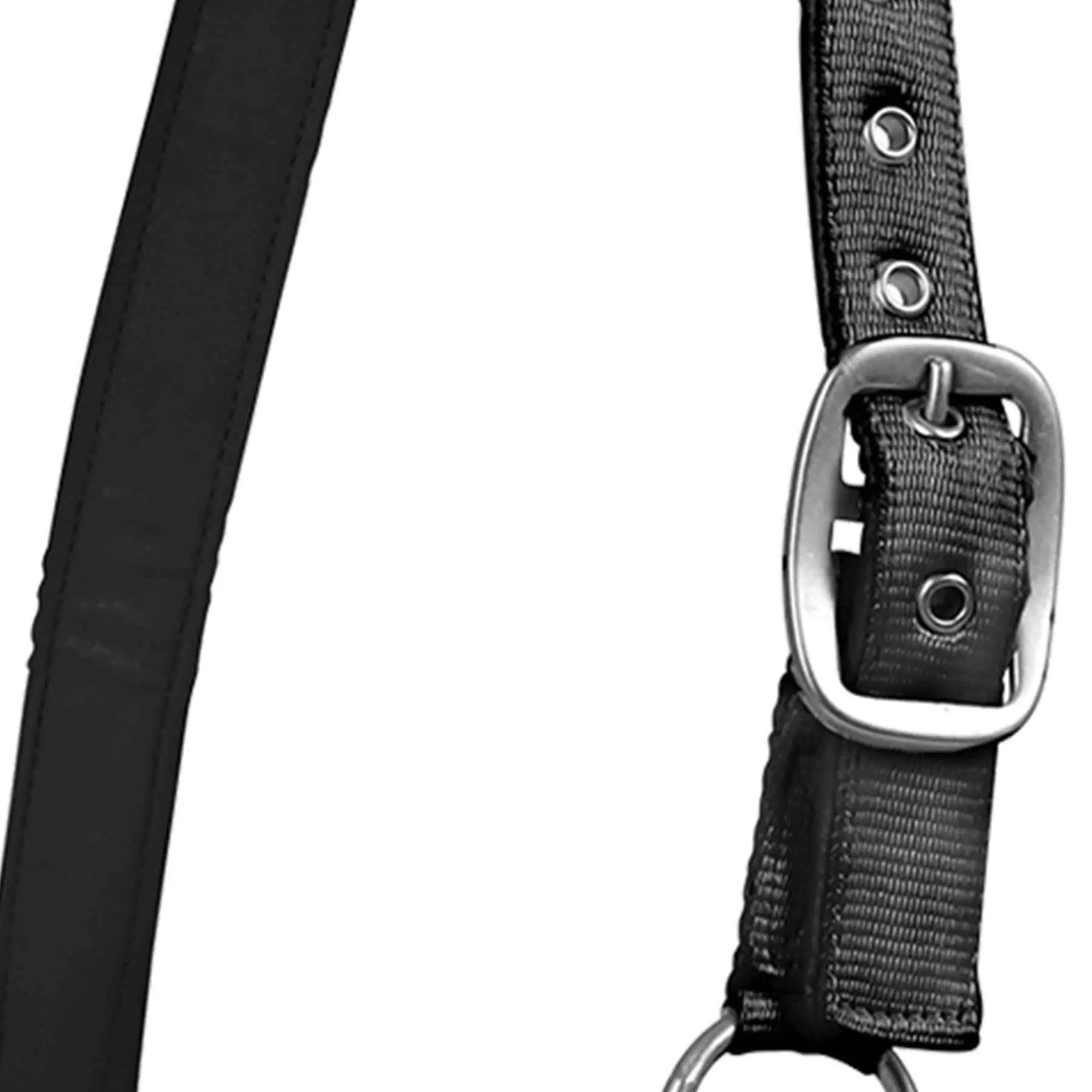 Waldhausen Perlonhalfter Satin, weich unterlegt & verstellbar, schwarz, X-FULL