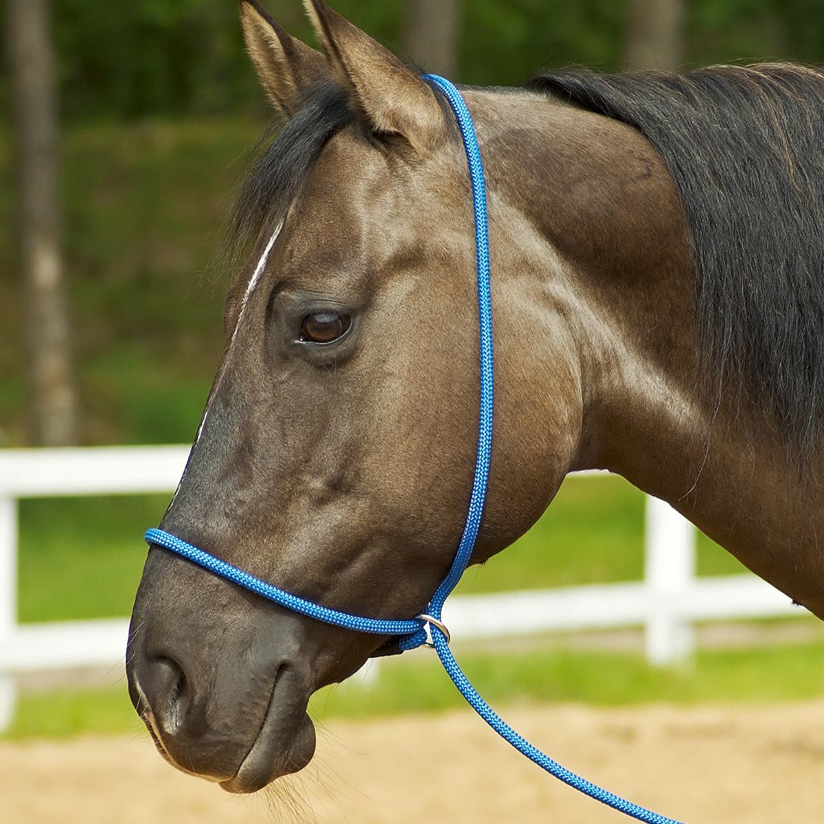 BUSSE Fonction de l'étui 3 en 1